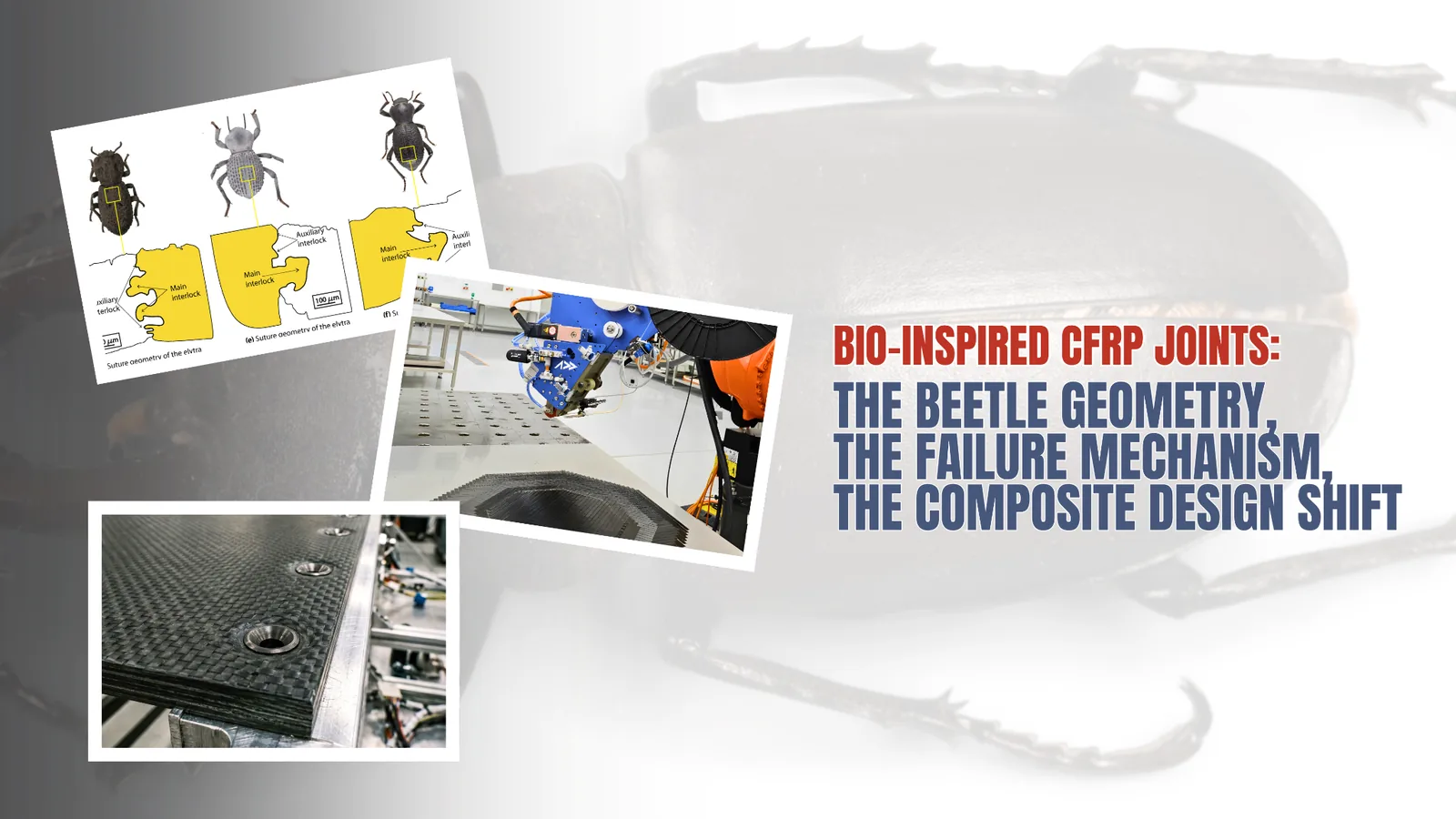 Bio-inspired joints from beetle armor outperforming riveted CFRP connections