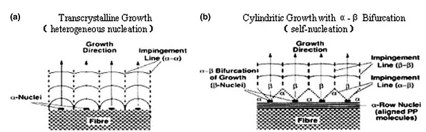 Schematic diagram of the difference between TC layer and cylindritic crystallization