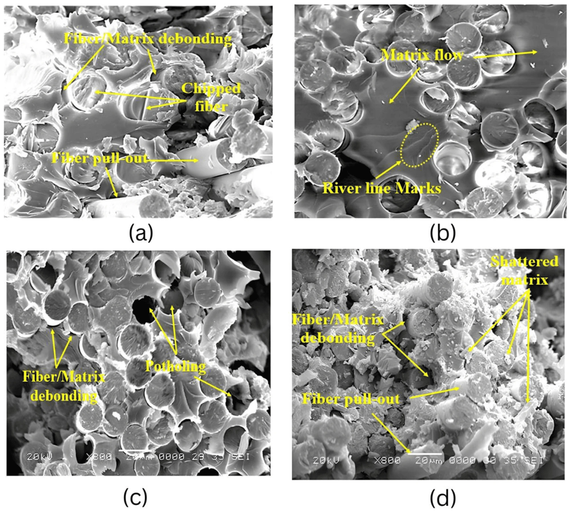 SEM fracture surfaces of E-glass/epoxy composite after seawater conditioning