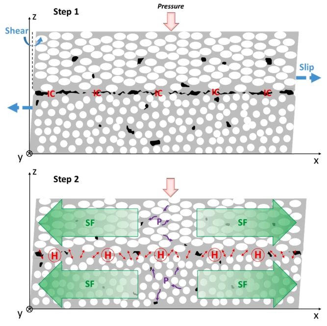 Schematic illustration of the different phenomena occurring during consolidation of a [0/45] oriented towards y-axis. The matrix is represented in grey color. White ellipses stand for the 45◦ oriented fbers and white circles for the 0 ◦ oriented fbers. Voids (in black) can be present within a ply (intra-laminar void) or at the interface between plies (inter-laminar voids). Step 1: “IC”: intimate contact development, “Slip”: inter-ply slip, “Shear”: transverse intra-ply shear; Step 2: “H”: healing, with red arrows representing chain interdiffusion, “P”: resin percolation, “SF”: squeeze ﬂow