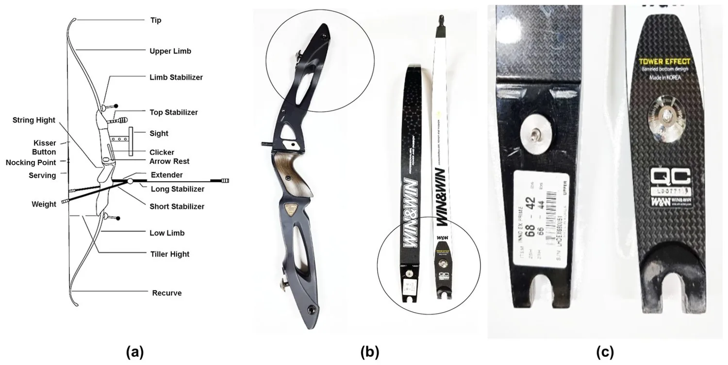 Every part of a recurve bow named and mapped out, shown next to photographs of real bow limbs and a carbon stabilizer.
