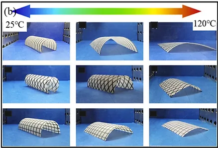 deployable surfaces with different confgurations