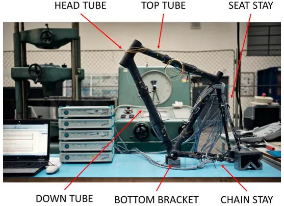 The complete carbon composite bicycle frame mounted in the test rig, with the six main structural elements labeled: head tube, top tube, seat stay, down tube, bottom bracket, and chain stay.